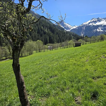 Hacklerhof 3 *